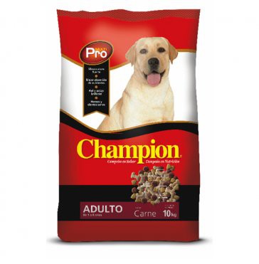 Champion Adulto